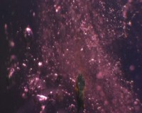 Cristales de apatitos, circones y diópsidos